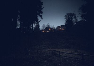 Park bei Nacht, Bäume als Silhouetten vor tiefblauem Himmel