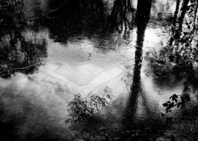 Spiegelung von Bäumen und Wolken in einer Wasserfläche, schwarzweiß