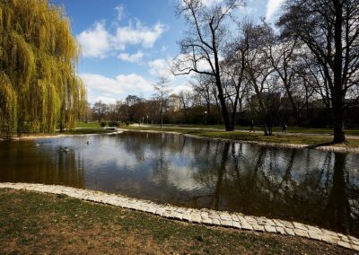 Teich mit Trauerweide und kahlen Bäumen in einem Stadtpark