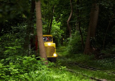Gelber Wagen einer Parkeisenbahn im dichten grünen Wald